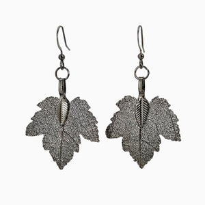 Maple Leaf - Real Leaf Dangle Earrings